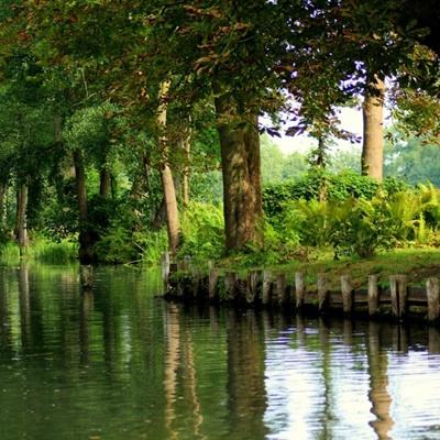 万博max体育官网手机版