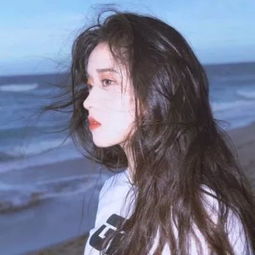 半岛·体育BDSPORTS