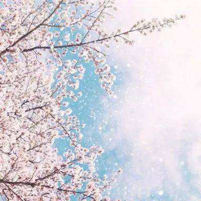 九游会AG下载手机版