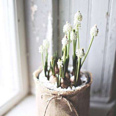 大小单双正规平台下载