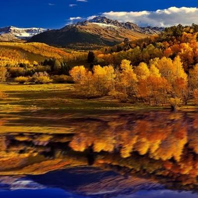 leyu·乐鱼中国官方网站