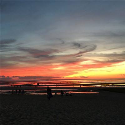 押注篮球的appapp下载