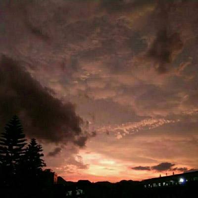 开元棋脾手机app下载