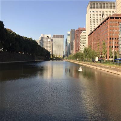 凯发K8官网入口