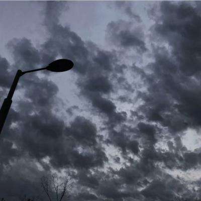 凤凰彩票手机app下载