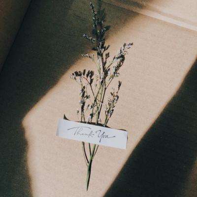 江南足球app手机app下载