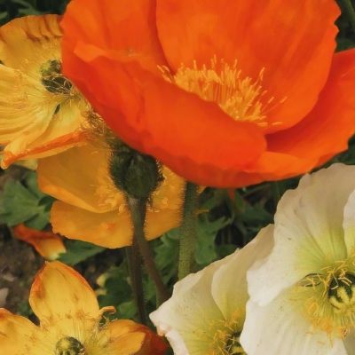 半岛平台半岛官方下载