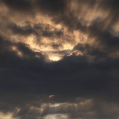 bob·体育综合app