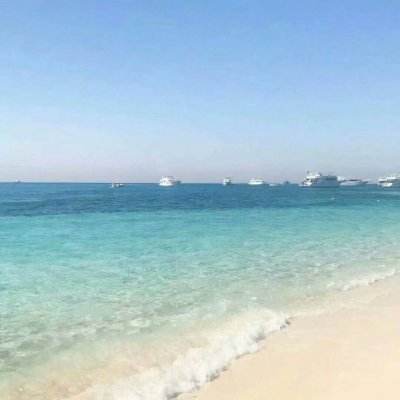 单机的打鱼游戏下载手机版