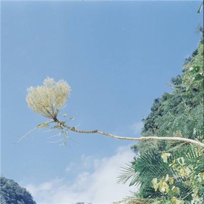 电玩城金鲨银鲨app下载