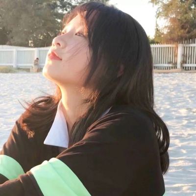 半岛·综合下载手机版