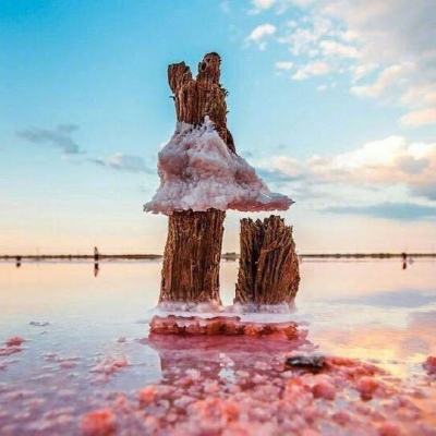 诺亚体育app下载安装手机版最新