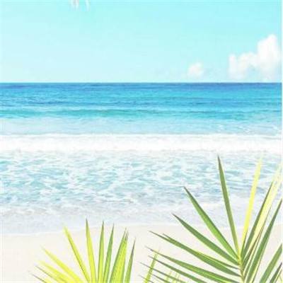 加拿大南宫NG娱乐app下载