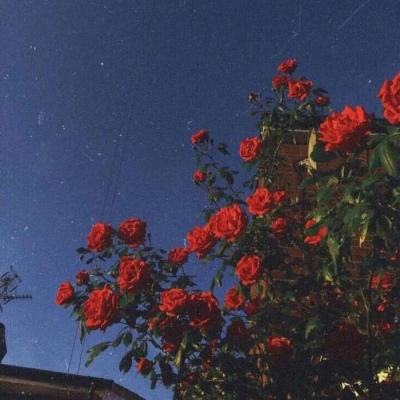 开元ky7818老版本下载手机版