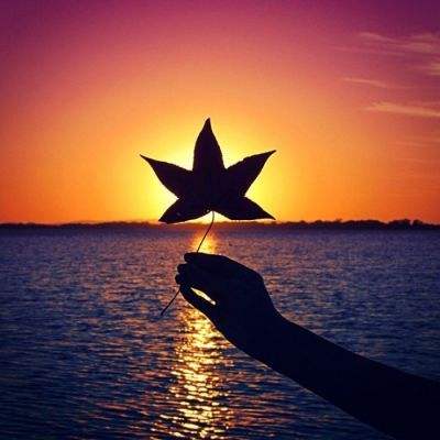 亚博AG娱乐下载手机版