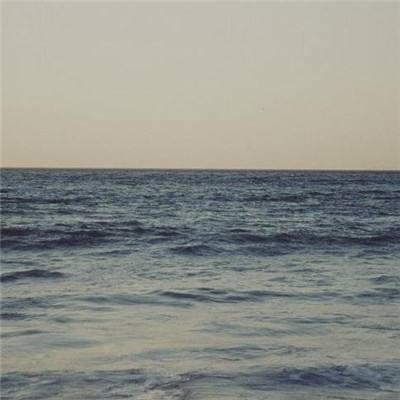 电玩舞会森林手机app下载