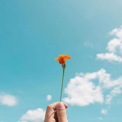 大发国际app下载