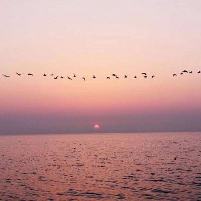 贝博bb平台体育全站版