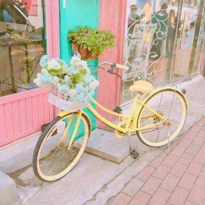 半岛·手机网页版