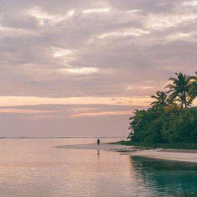 manbetx官网在线登录