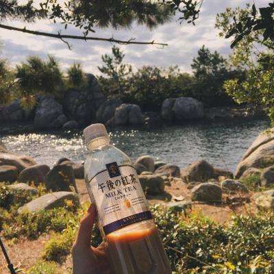 港澳宝典下载手机版