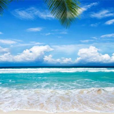 万博(ManBetx)下载手机版