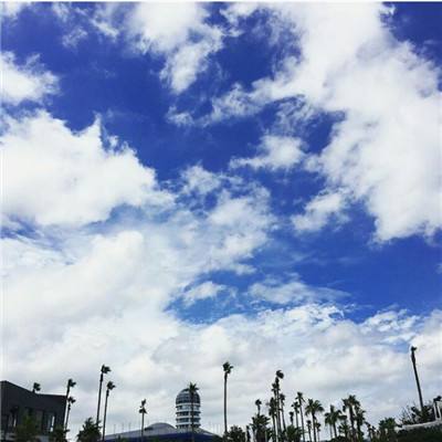 凤凰彩票进入网址