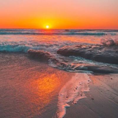 澳门威斯人手机app下载