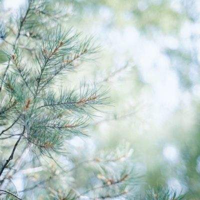 Kaiyun(云开)体育App(官方)截图