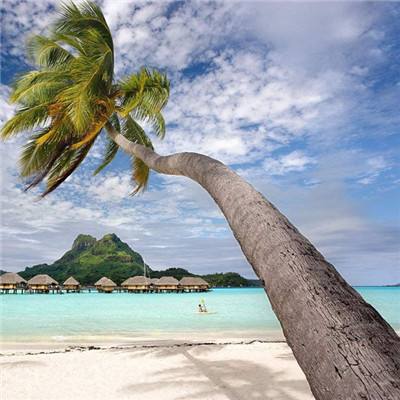 爱游戏全站登录截图