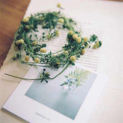 完美电竞下载手机版