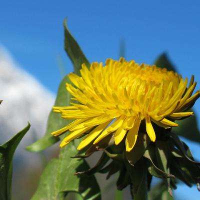 凯发国际k8娱乐官网app截图