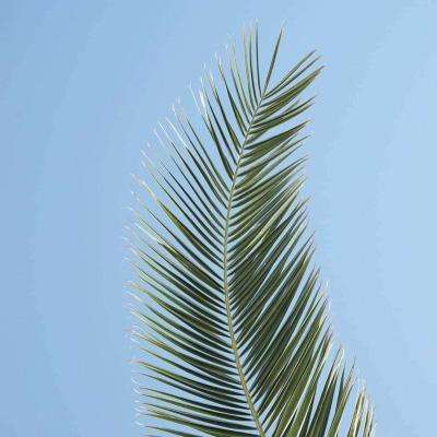 半岛(中国)体育