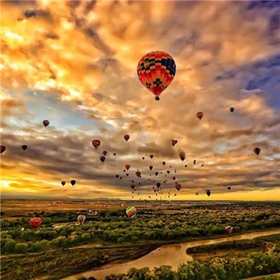 凤凰彩票appapp下载