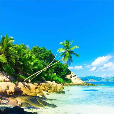 PG麻将胡了免费版app下载