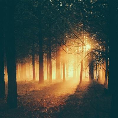 B体育登录APP下载