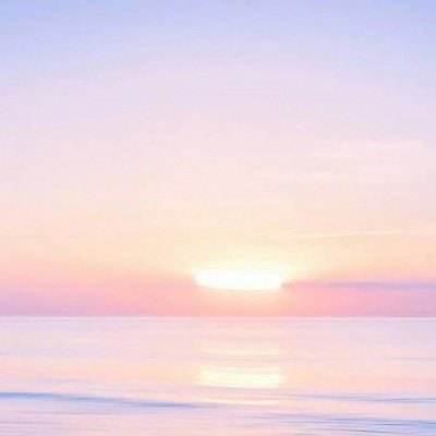 ky体育手机app下载