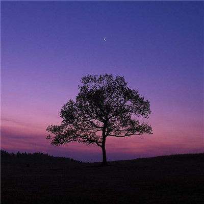 BOB体育APP官方下载