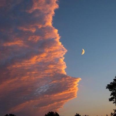 完美电竞app下载