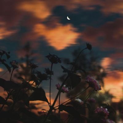 十大正规买足球网站