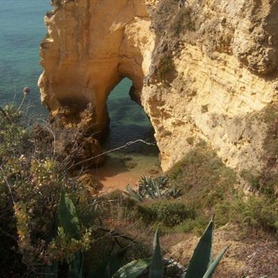 百人牛牛游戏软件下载手机版