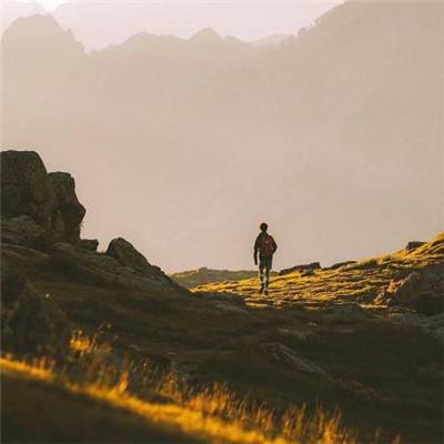 m6米乐网页版登录入口下载手机版