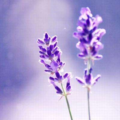 bet官网365app下载1069