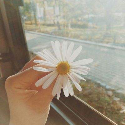 皇冠app下载官网下载