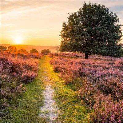 天空体育中文版