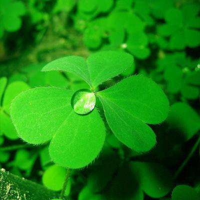 金沙集团9500app下载