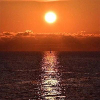 星空下载站官网下载手机版