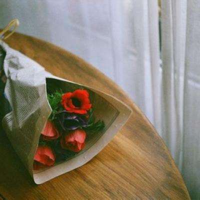 加拿大pc入口app下载