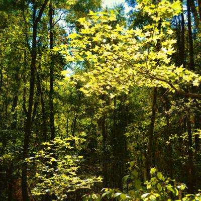 5848vip威尼斯电子游戏app下载