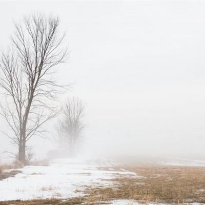 凤凰彩票平台下载app下载